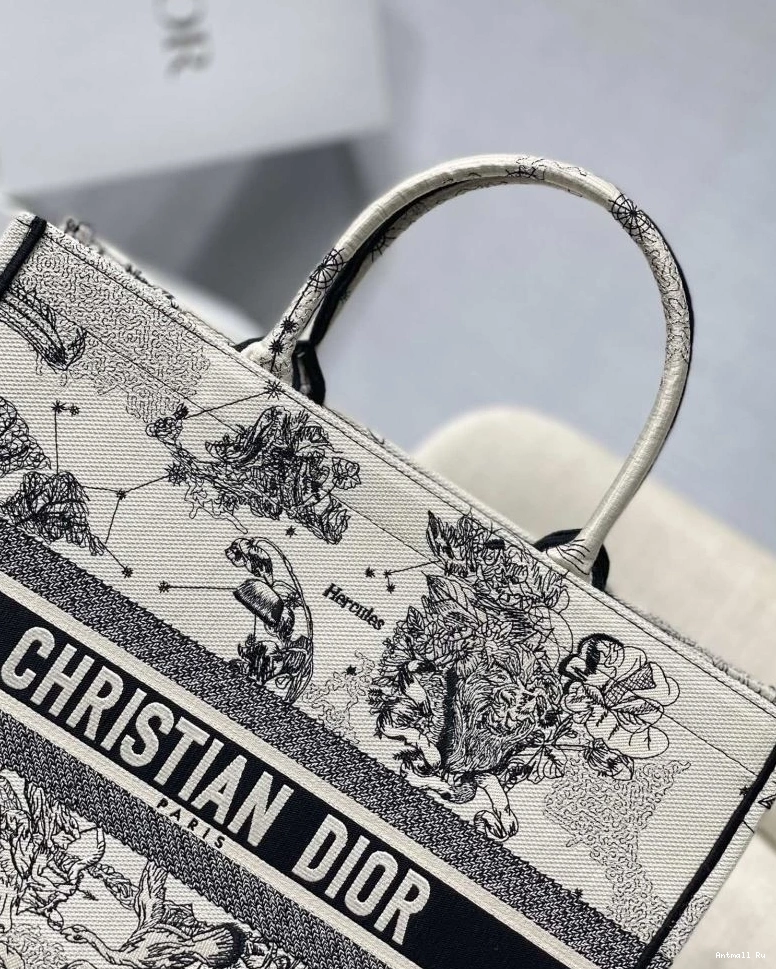 75604 GoAnywhere Dior Christian Bags Shopping 0719